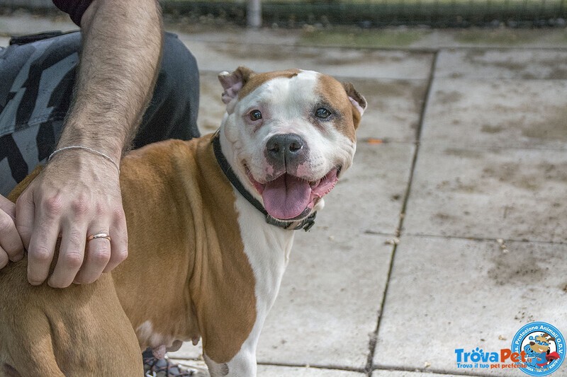 Molly, una casa per gli anni più Preziosi - Foto n. 2