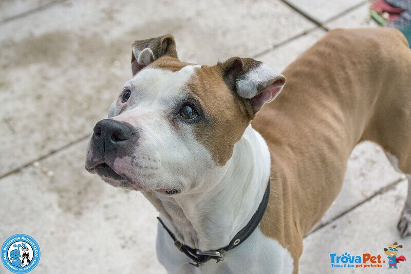 Molly, una casa per gli anni più Preziosi - Foto n. 3