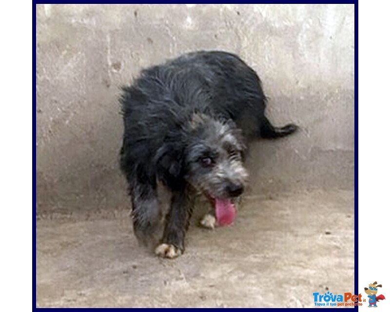 Laguna Giovane Aspetta la sua Famiglia - Foto n. 4