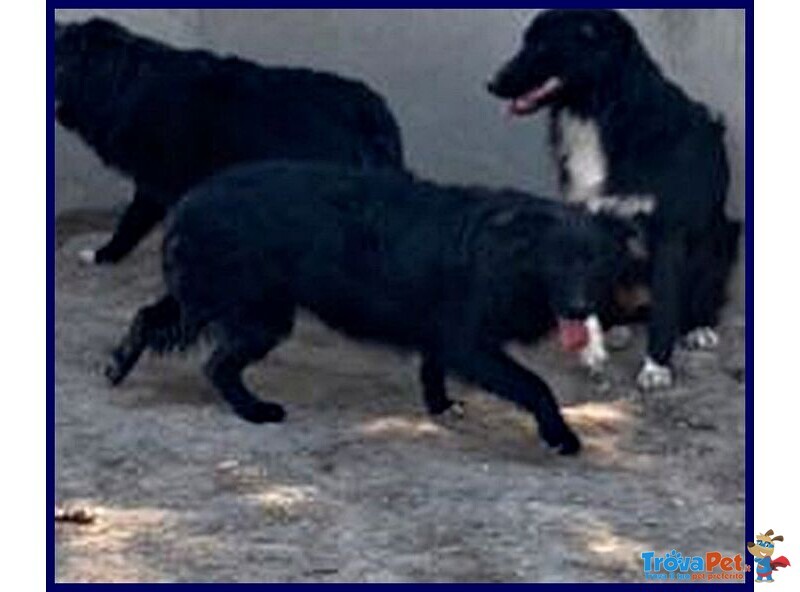 Sabrina sui 3-4 anni - una Timidina! - Foto n. 3