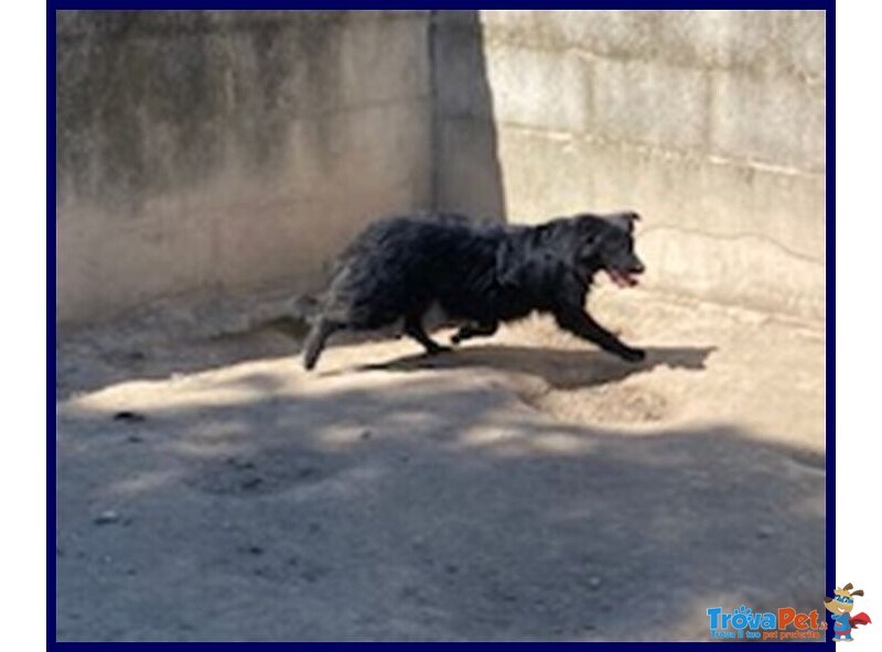 Sabrina sui 3-4 anni - una Timidina! - Foto n. 4