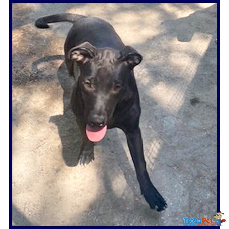 Adorabile Zeudi sui 3 anni - tg Contenuta - Foto n. 2