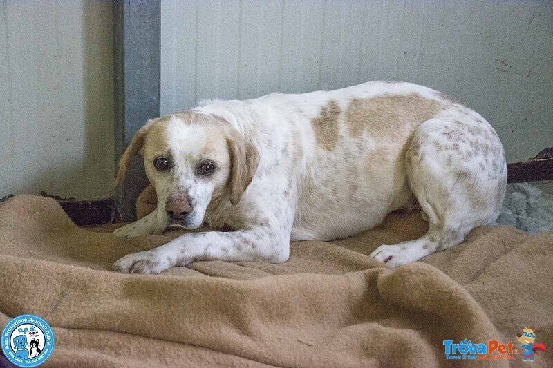 Emily, la Delicatezza che Chiede solo Pace - Foto n. 2