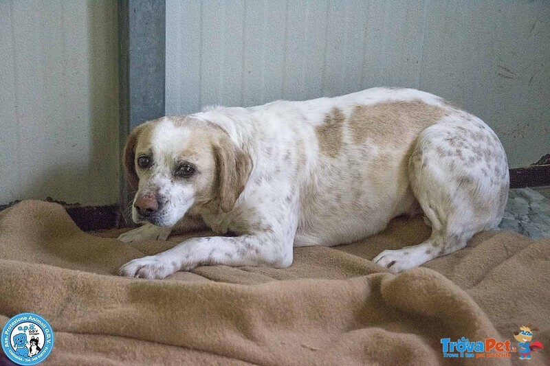 Emily, la Delicatezza che Chiede solo Pace - Foto n. 3