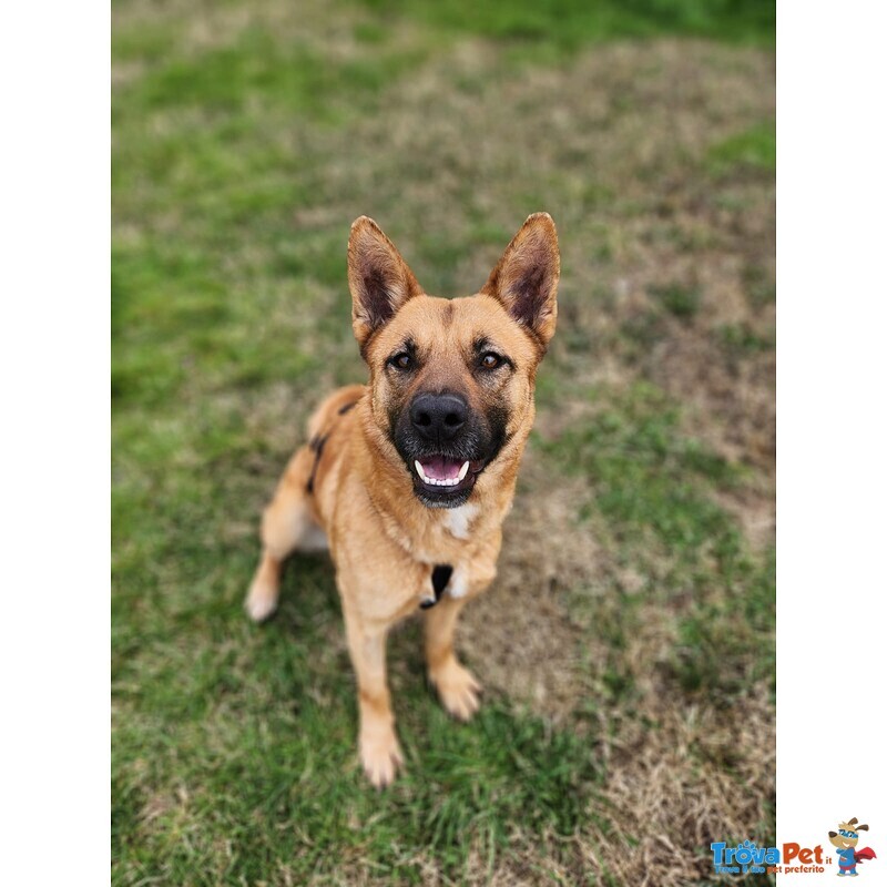 Miren Taglia Media - Foto n. 2