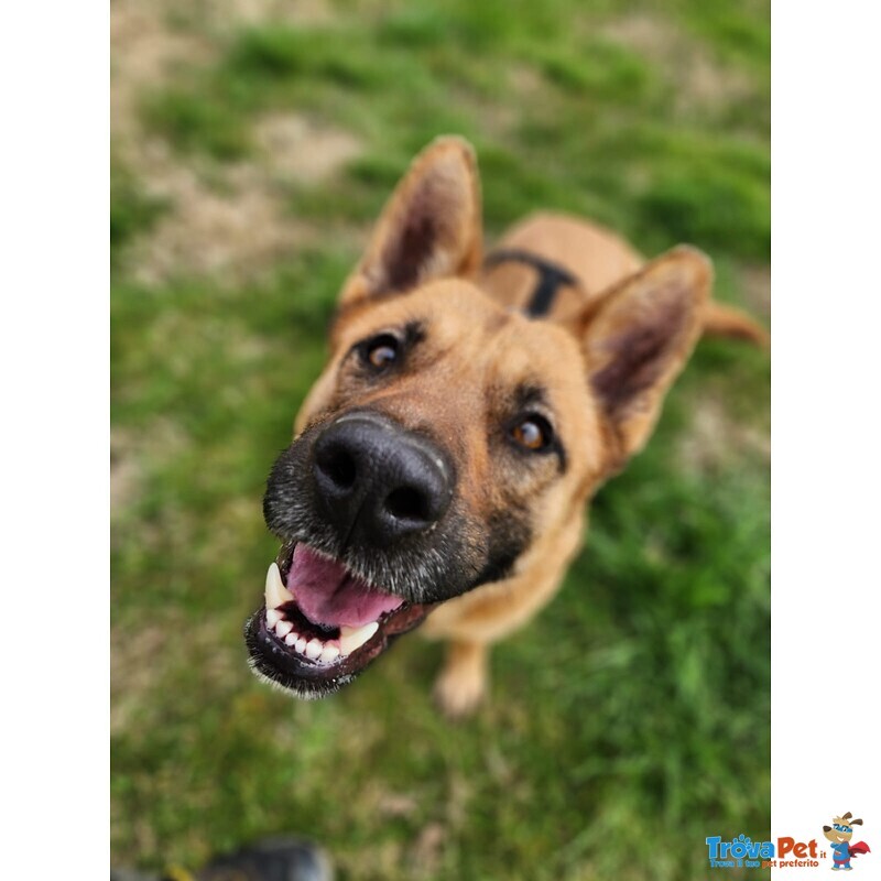 Miren Taglia Media - Foto n. 3