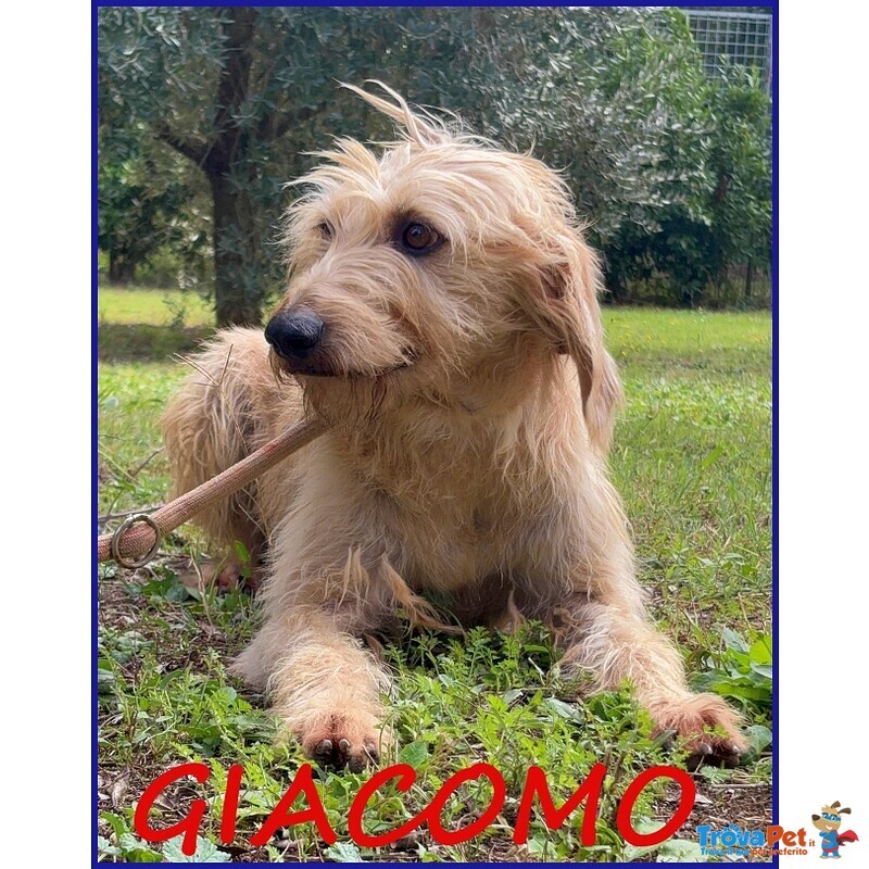 Giacomo ha Vissuto L'inferno ma ora è Pronto per una Famiglia - Foto n. 1