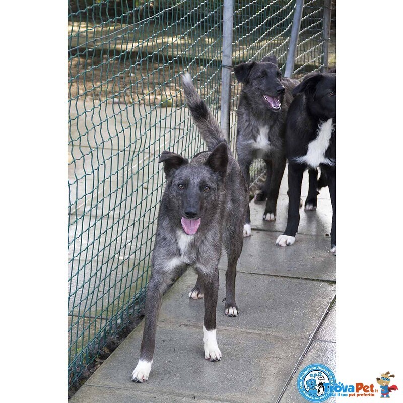 Nina, nana e Noah: il club Degli Invisibili - Foto n. 1