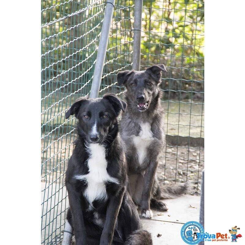 Nina, nana e Noah: il club Degli Invisibili - Foto n. 2