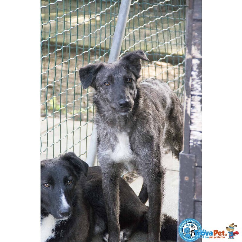 Nina, nana e Noah: il club Degli Invisibili - Foto n. 3