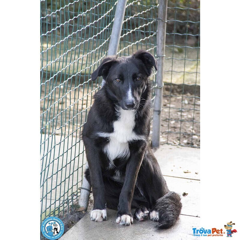 Nina, nana e Noah: il club Degli Invisibili - Foto n. 4