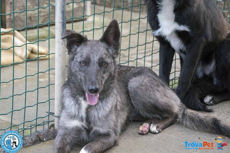 Nina, nana e Noah: il club Degli Invisibili - Foto n. 5