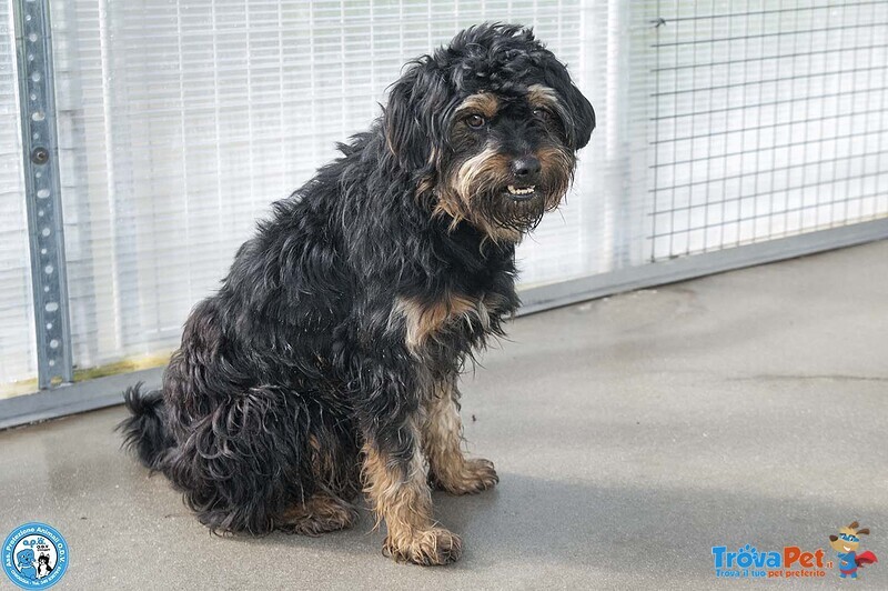 Teo: il Riscatto di un Piccolo Guerriero - Foto n. 2