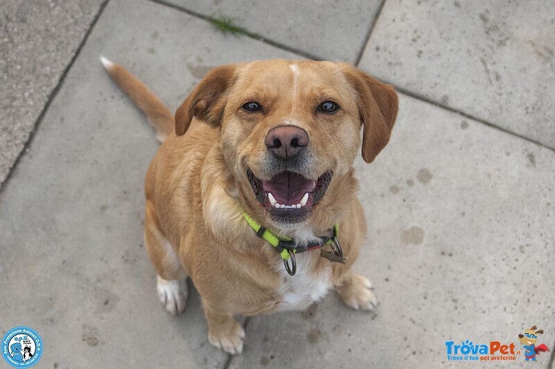 Washy: Cercasi Umano Disposto a Farsi Rubare il Cuore - Foto n. 1