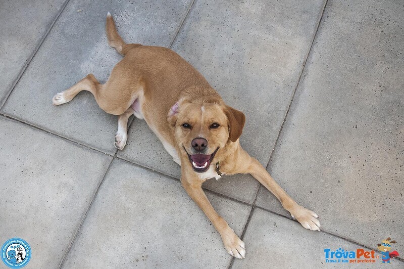 Washy: Cercasi Umano Disposto a Farsi Rubare il Cuore - Foto n. 3