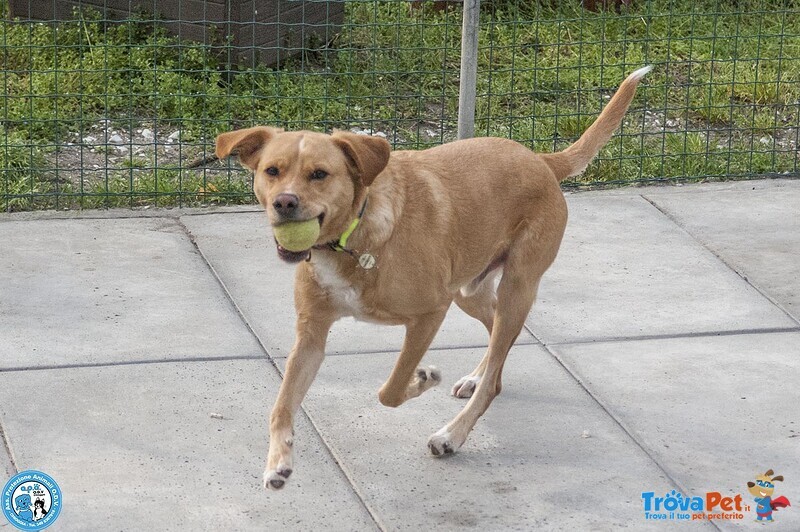 Washy: Cercasi Umano Disposto a Farsi Rubare il Cuore - Foto n. 4