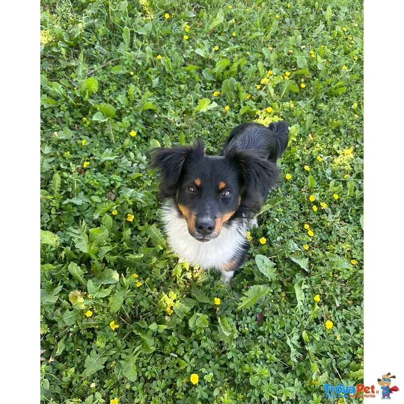 Jimbe Taglia Piccola - Foto n. 1