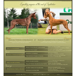 Elegantissimi Cuccioli di Pharaoh Hound con Pedigree Enci