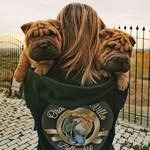 Cuccioli di shar pei con Pedigree - Foto n. 4