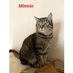 Minnie la Timida - Foto n. 2