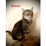 Minnie la Timida - Foto n. 5