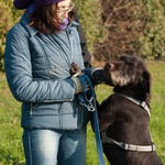 Rufus, 8 anni Sfruttato per la Caccia e poi Sbattuto in Canile! - Foto n. 5