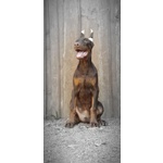 Cucciolo di Dobermann - Foto n. 3