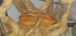 Elaphe Guttata - Serpente del Grano con teca Completa - Foto n. 1