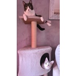Milo e Gino 2 fratelli inseparabili aspettano amore