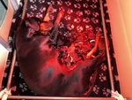 Cuccioli di Dobermann con Pedigree - Foto n. 1