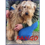 Fango 2-3anni Dolce - Sogna una Famiglia! - Foto n. 2