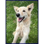 Lucky Cotone 6 anni Adora le Persone Dinamiche - Foto n. 4