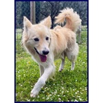 Lucky Cotone 6 anni Adora le Persone Dinamiche - Foto n. 5