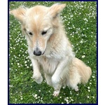Lucky Cotone 6 anni Adora le Persone Dinamiche - Foto n. 6