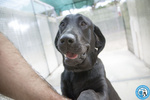 Nerone: Dolcezza in Formato Xl.. - Foto n. 4