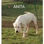 Anita 6anni Brava con le Persone - Foto n. 4