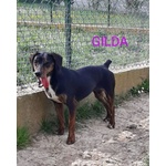 Gilda 4anni Buona con Tutti! - Foto n. 2