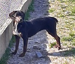 Gilda 4anni Buona con Tutti! - Foto n. 5