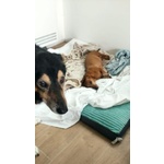 Clara e Sofia Nonnine Rimaste Sole - Foto n. 2