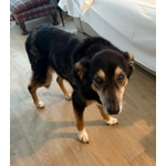 Clara e Sofia Nonnine Rimaste Sole - Foto n. 4