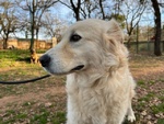 Vaniglia 5anni una Bella Timidina - Foto n. 2
