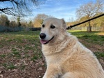 Vaniglia 5anni una Bella Timidina - Foto n. 3