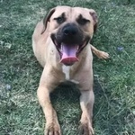 OTIS simpatico e socievole!