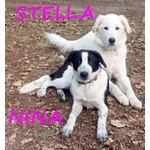 NINA e STELLA 1anno dolcissime