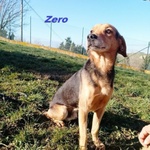 Zero 7anni Dolcissimo Cercacoccole tg Contenuta - Foto n. 3