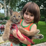 Disponibili Bellissimi Cuccioli di Lince - Foto n. 4