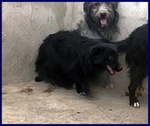 Arabella sui 3anni Timida, ma Anche Curiosa! - Foto n. 2
