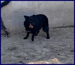 Sabrina sui 3 anni - una Timidina! - Foto n. 4