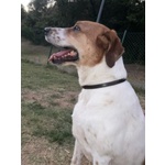 Tommy 7anni deve Finalmente Trovare Pace - Foto n. 5