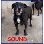 Sound 7-8anni Festoso e Buono - sui 10-11kg - Foto n. 2